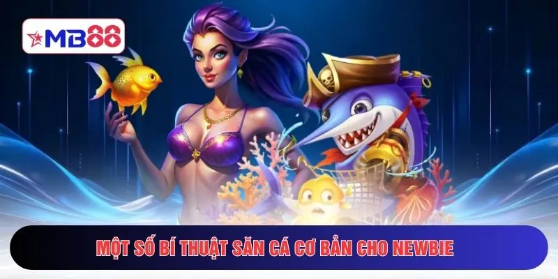 Một số bí thuật săn cá cơ bản cho newbie